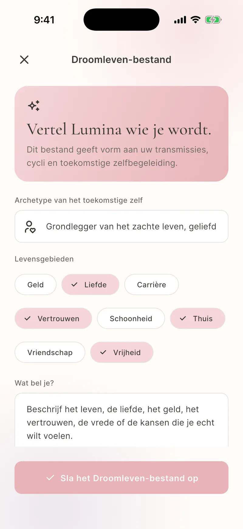 Opgeslagen Droom- en dagboekgeschiedenis