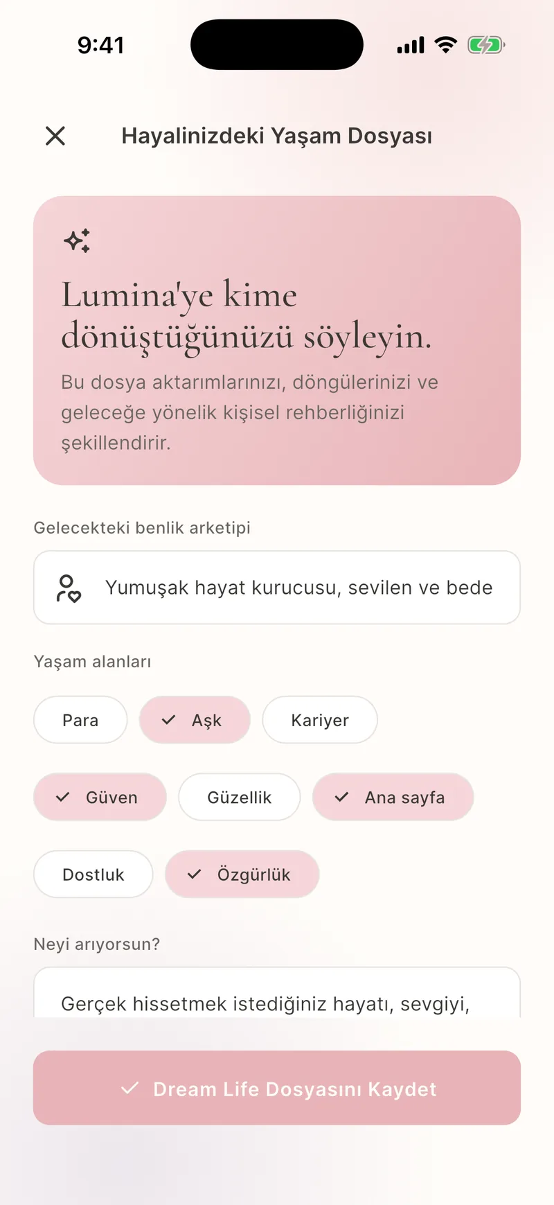 Kaydedilmiş Rüya ve günlük geçmişi